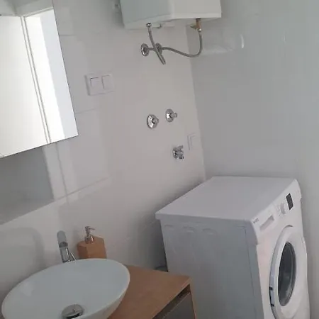 Marko * 트로기르